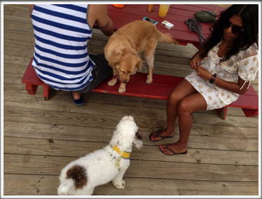 WonderBar, Asbury Park, 8/31/13